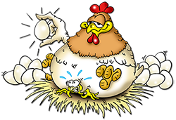 huhn weiss